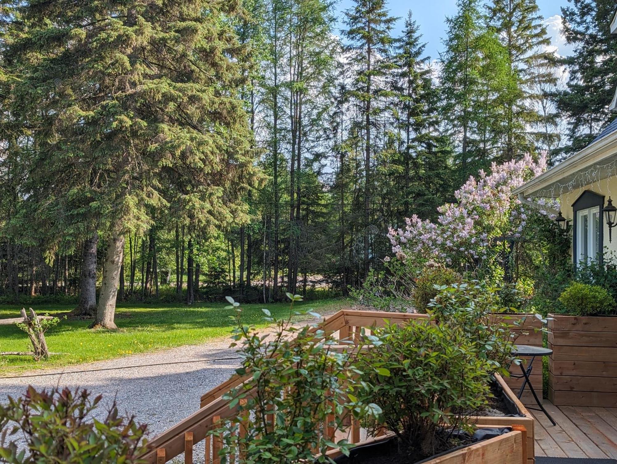 Bed and Breakfast La Tremblante Mont-Tremblant Exteriér fotografie
