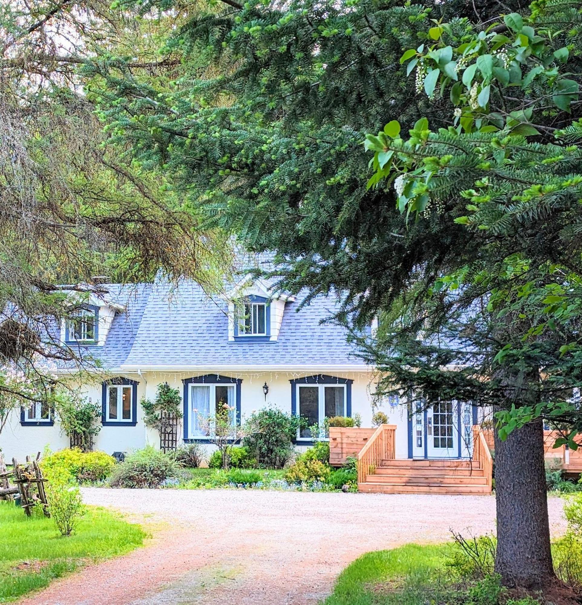Bed and Breakfast La Tremblante Mont-Tremblant Exteriér fotografie