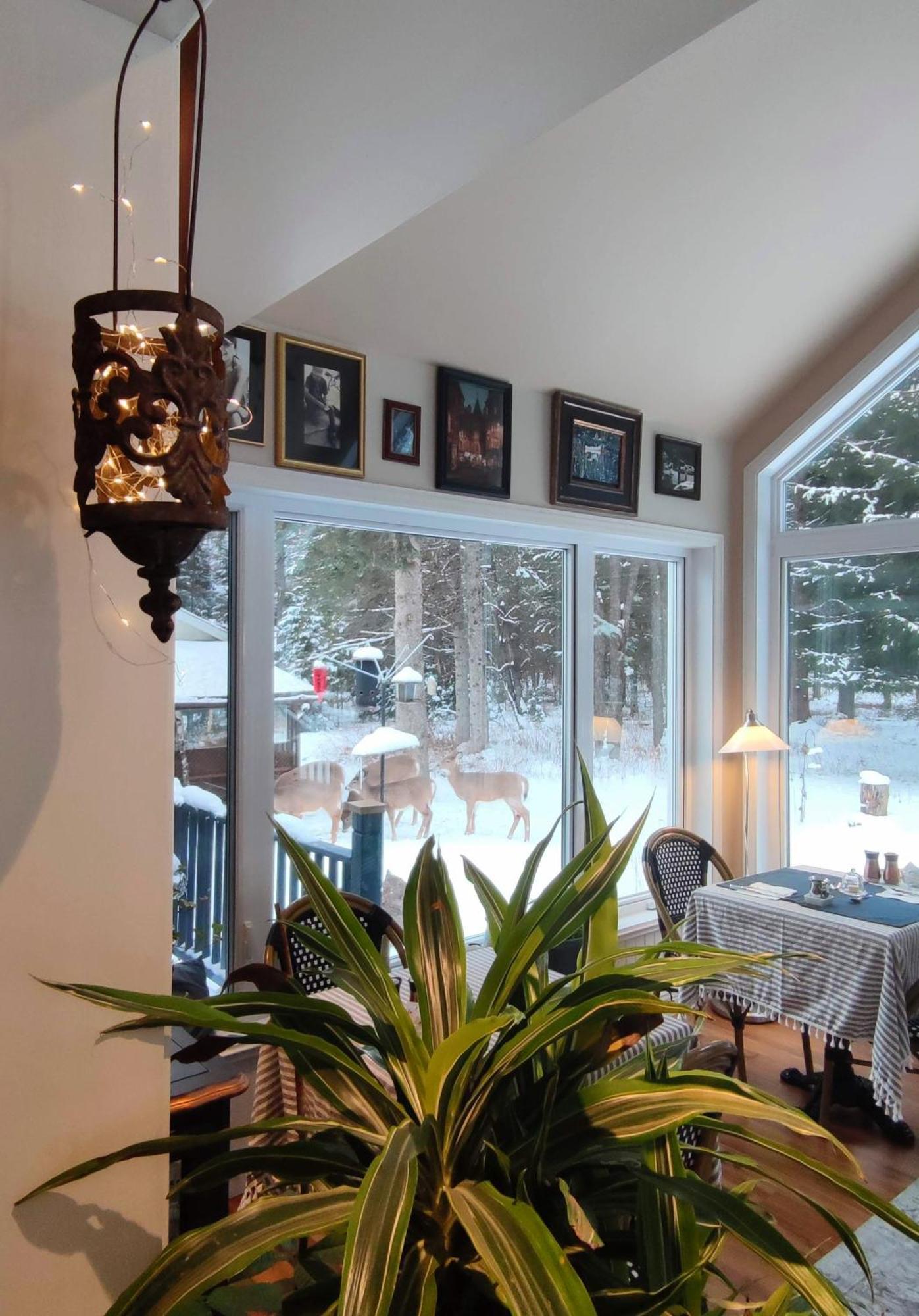 Bed and Breakfast La Tremblante Mont-Tremblant Exteriér fotografie